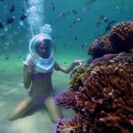 45. coral plantation smal
